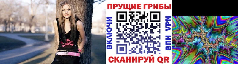 Галлюциногенные грибы мицелий  Иноземцево 